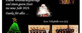 Volleyballer wünschen frohe Weihnachten und einen guten Start ins neue Jahr !!