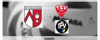 Volleyball aktuell - Vorschau Heimspiel